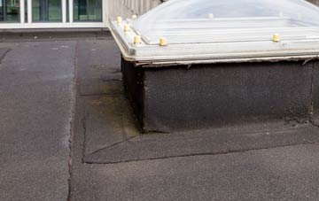 disadvantages of Cunnister flat roofs