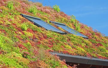 Cunnister living roof systems