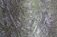 Cunnister fibreglass roof work